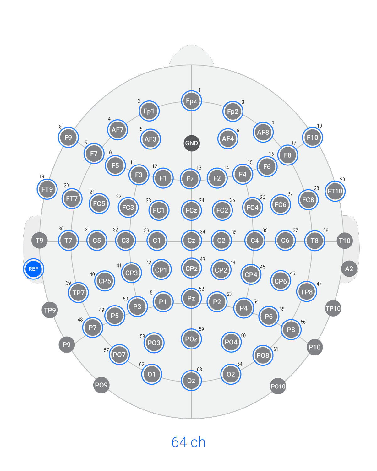 Versatile EEG layout 64 ch